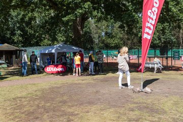 Bild 3 - Rosenpokal